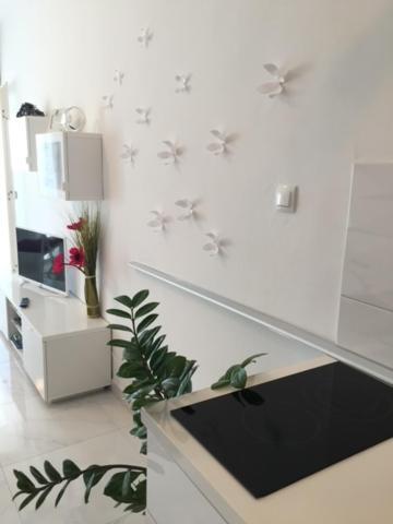 Cute Studio-Great Location Ζαντάρ Εξωτερικό φωτογραφία